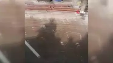 Son dakika haberi... - Hindistan'da şehre inen leopar 5 kişiyi yaraladı- Panik anları kamerada