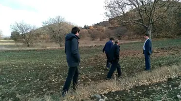 Organik siyez buğdayına talep artınca, üretim alanı genişletilmeye başlandı