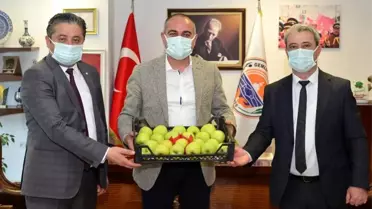 Bayramiç'in elmasının da, Gemlik'in zeytinin de derdi aynı