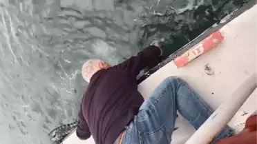 Haliç'te daha önce iki kişi kurtarmıştı bu kez de köpeği kurtardı