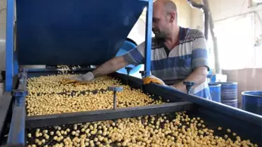 Denizli'nin Serinhisar ilçesinde leblebi satış yerlerine çalışma saati düzenlemesi