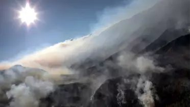 Meksika'da devam eden orman yangınları 7 bin hektarlık alanı küle çevirdi