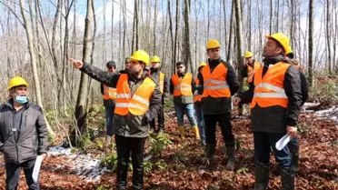 Düzce'de silvikültür uygulamaları yapıldı