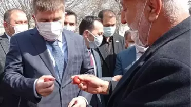Iğdır'daki kutlamalarda vali demir dövdü, yumurta tokuşturdu