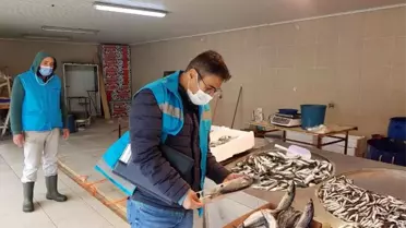 Balık pazarı denetlendi
