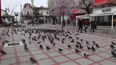 EDİRNE/KIRKLARELİ - Vaka artışının sürdüğü Trakya'da vatandaşa göre artışın nedeni 'kural tanımazlık'
