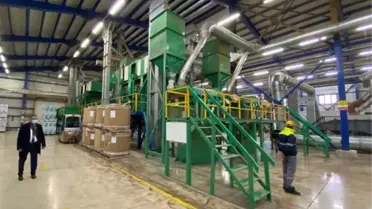 Konya Ovası'nda ayçiçeği üretimi, 260 bin tona çıktı