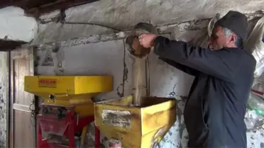 Sındırgı'da 55 yıldır doğal yöntemlerle susam yağı çıkarıyorlar