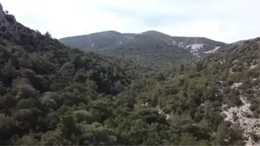 Bodrum'un 'teknolojik çobanı' sürüsünü 'drone' ile takip ediyor