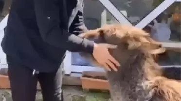 KIVANÇ TATLITUĞ ARZU İSİMLİ SIPAYI SEVDİ