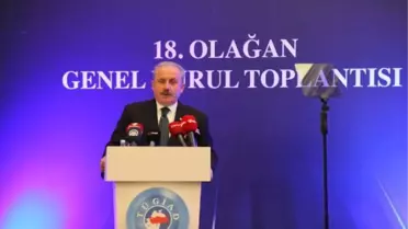 TBMM BAŞKANI ŞENTOP: SALGIN SÜRECİNDE TÜRKİYE'NİN ÖNEMİ DAHA DA ARTTI