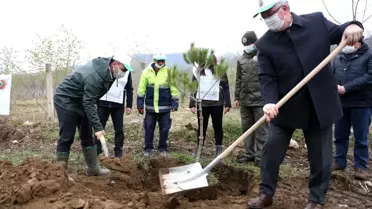Fatsa'da 160 fidan toprakla buluştu
