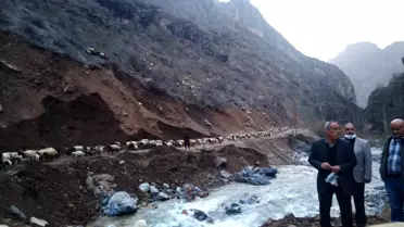 Hakkari'de sürülerin göçü başladı
