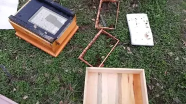 Köye inen ayılar kovanlara saldırdı