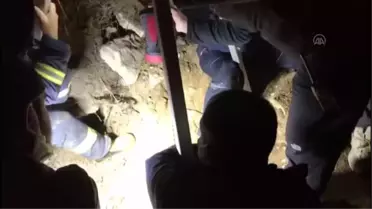 Kuyuya düşen koyunu AFAD ekipleri kurtardı