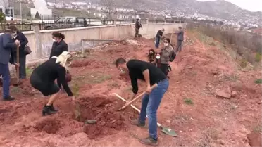 Kadına yönelik şiddetle mücadele kapsamında 'Mercan Hatıra Ormanı' oluşturuldu
