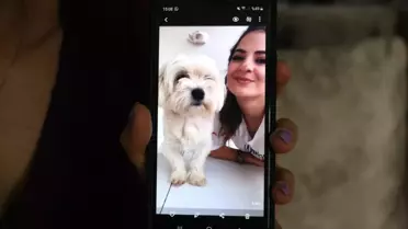 MS hastası genç kız 'o olmadan yaşayamam' dediği köpeğini getirene 2 bin lira ödül verecek