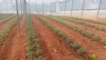 İl Müdürü Şahinbaş'tan Sarıveliler ve Başyayla İlçelerine Ziyaret