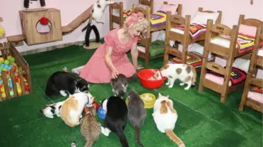Son dakika haberi... MARDİNLİ MARİLYN MONROE, KEDİ SIĞINMA EVİ KURDU