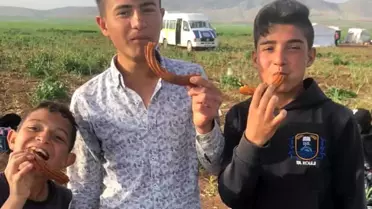 Hayırsever İş Adamı Şahin tarım işçilerine tatlı ikram etti