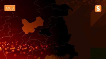 Muş'ta PKK'lı teröristlere ait mühimmat ele geçirildi