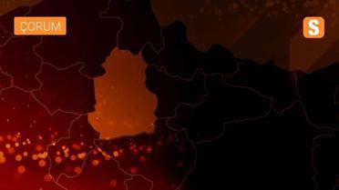 Çorum'da Kovid-19 salgınından etkilenen sektörlerde çalışan 2 bin kişiye gıda kolisi dağıtılacak