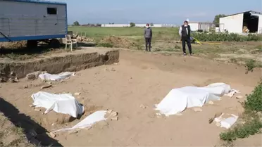 Ev yapmak için kazdıkları topraktan insan kemikleri çıktı