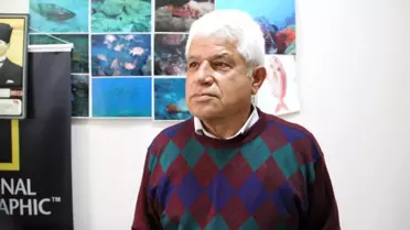 Antalya'da balon balıkları oltalara 4'er 4'er takılıyor... Antalya'da denize girilebilecek mi?