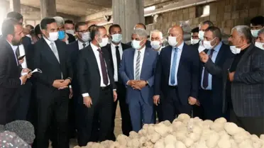 TMO'nun patates alımı Ahlat çiftçisine can suyu oldu