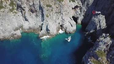 Nesli tehlike altında olan 'Akdeniz Fokları' görüntülendi