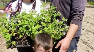 Burhaniye'de diplomalı kadın çiftçi