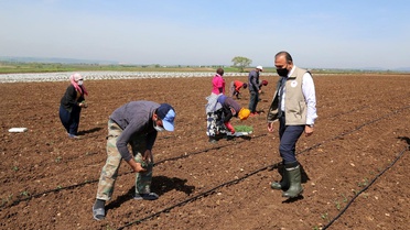 Mevsimlik tarım işçileri Bursa'ya geldi
