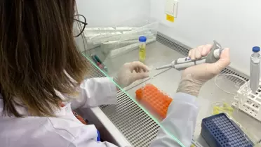 Propolis ile fermante edilen kudret narına yurt dışından talep yağıyor