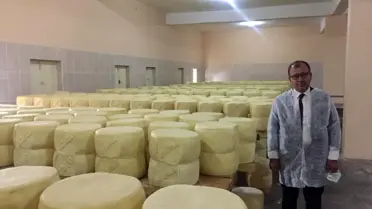 Kars Kaşarı yoğun ilgi görüyor