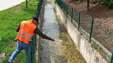 Gediz'de larva ilaçlama çalışmaları başlatıldı