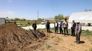 Gürpınar'da ücretsiz fidan dağıtımı