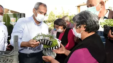 Tarsus'ta çitçilere 300 bin fide dağıtıldı