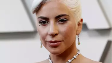 Lady Gaga'nın köpeklerinin kaçırılmasında 5 gözaltı