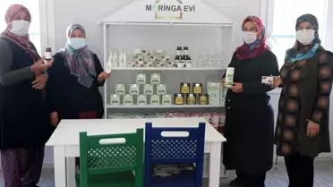 Moringa bitkisi sayesinde iş kadını oldular