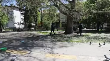 Çubuk'ta 'tam kapanma' günlerinde sokak hayvanları unutulmuyor