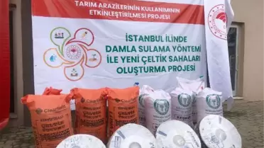 İSTANBUL TARIM İL MÜDÜRÜ: ÇELTİK ÜRETİMİ YAYGINLAŞACAK