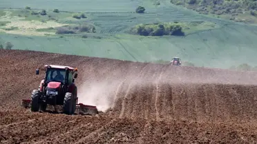 Koronaya rağmen Türkiye'nin ayçiçeği ambarı Tekirdağ'da ayçiçeği ekimi başladı