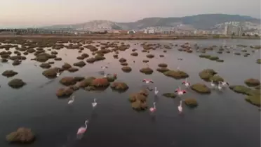 İzmir Kuş Cenneti'nde gün batımı güzelliği