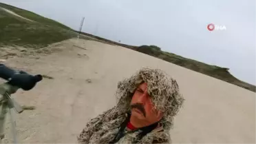 11 yılda Denizli'nin 318 kuş türünü fotoğrafladılar