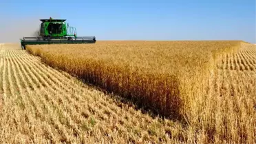 Tarım arazilerinin yabancılara satılması ve kiralanması Kazakistan'da yasaklandı
