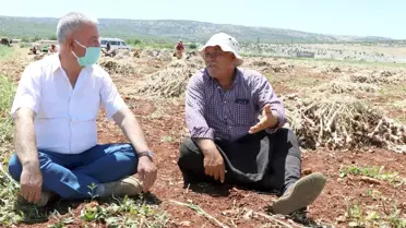 Çiftçiler gününde tarlada çalışan çiftçilerle buluştu