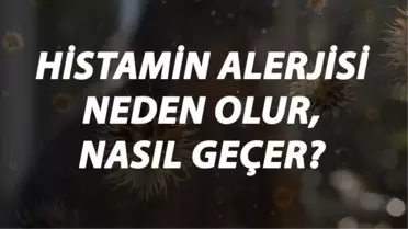 Histamin Alerjisi Nedir, Neden Olur ve Nasıl Geçer? Histamin Alerjisi Belirtileri ve Tedavisi Hakkında Bilgi