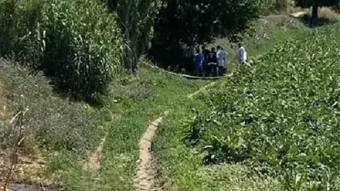 Dut ağacına kendini astı; intihar notu bıraktı
