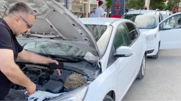 MOTOR KISMINA KUŞUN YUVA YAPTIĞI OTOMOBİL KİRALIKTAN ÇIKARILDI