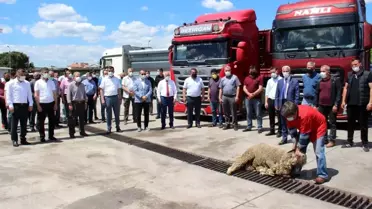 Soma'dan Yatağan Termik Santrali'ne günlük 5 bin ton kömür sevkiyatı yapılacak
